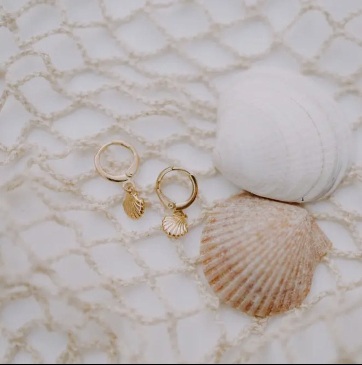 The Sea Shell Hoops